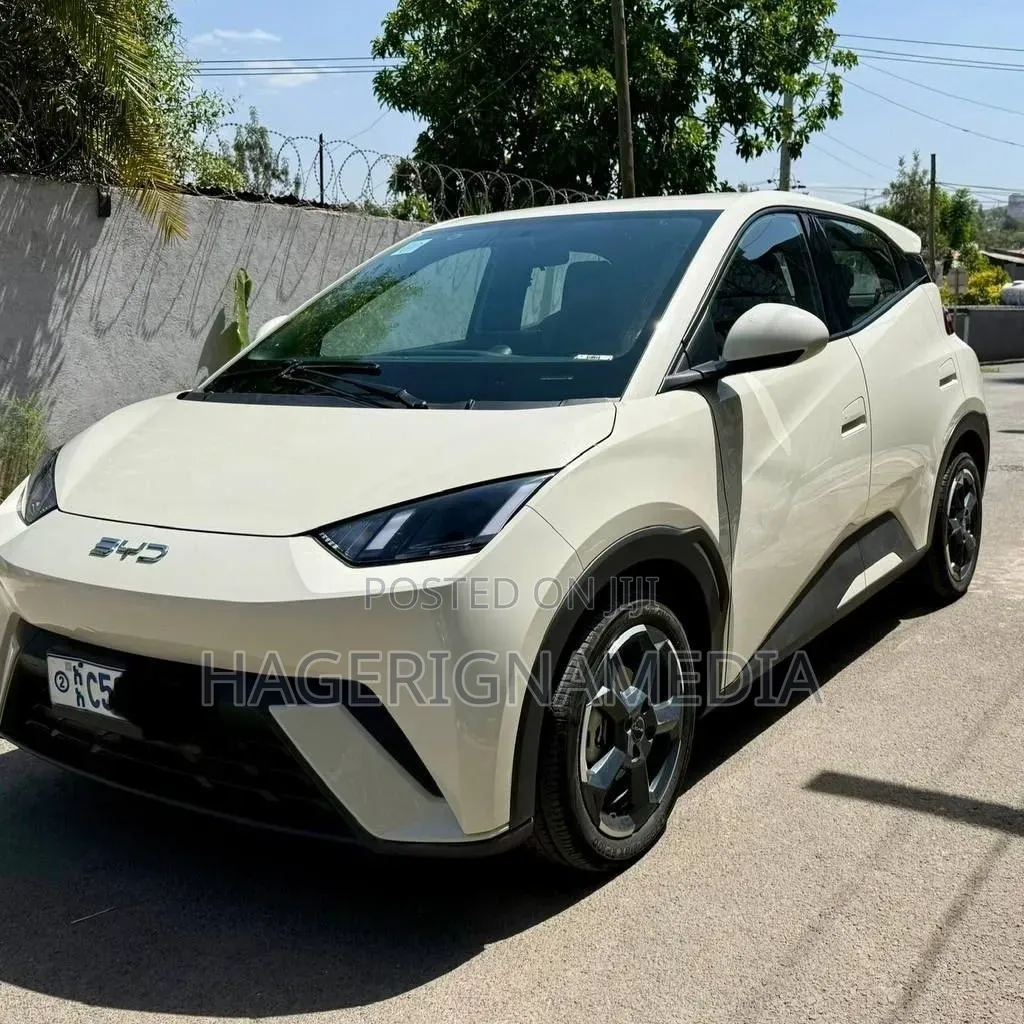 BYD Seagull 2024 White