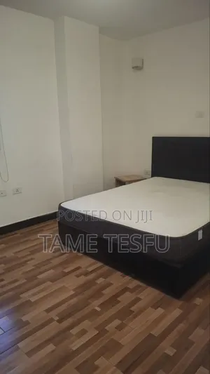 Furnished 3bdrm Apartment in ሀያት, Bole for sale