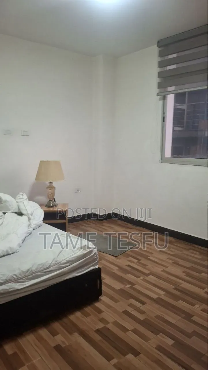 Furnished 3bdrm Apartment in ሀያት, Bole for sale