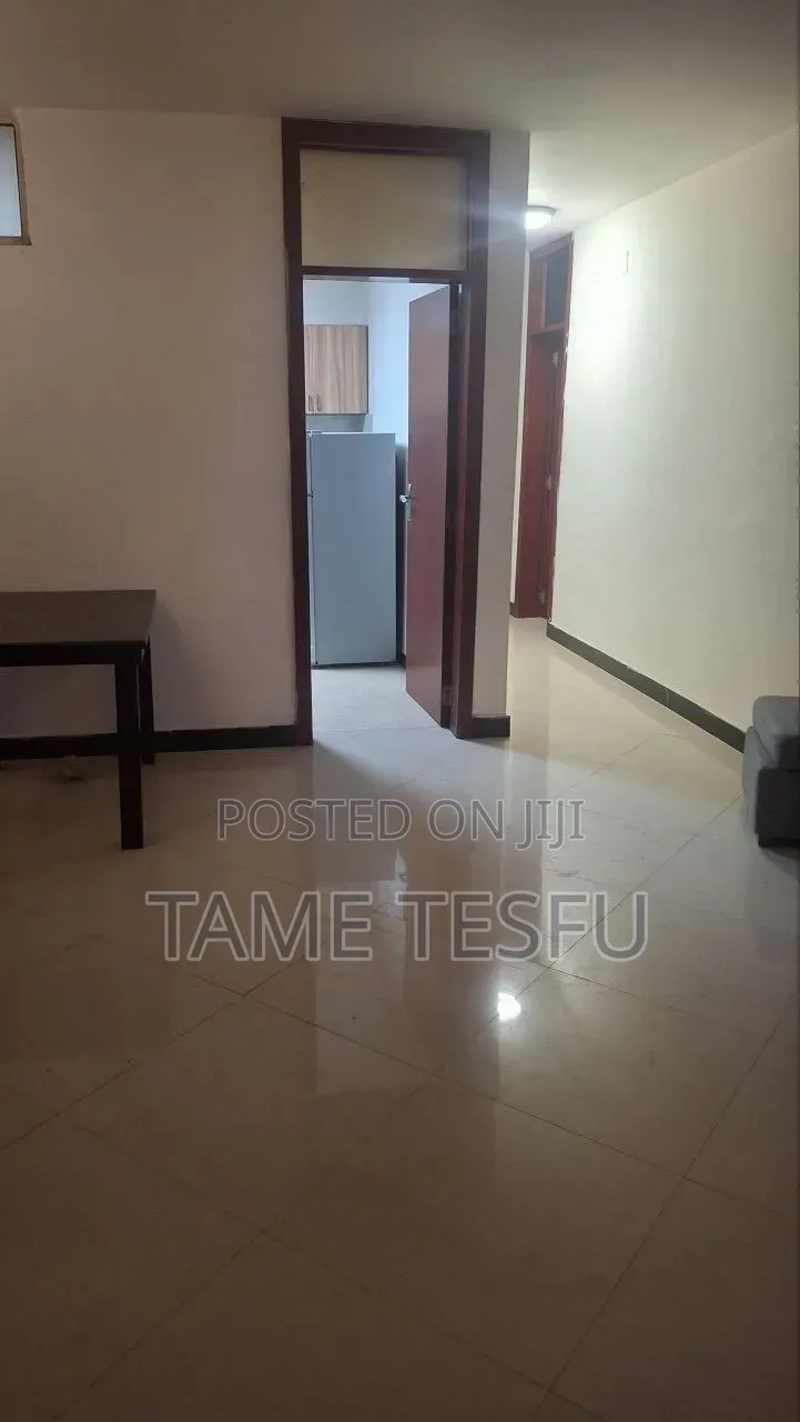 Furnished 3bdrm Apartment in ሀያት, Bole for sale