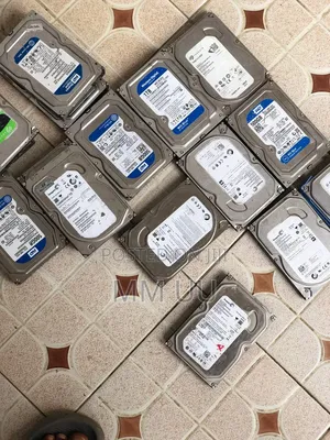 Computer Hard Disks