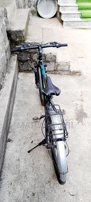 Used Phoenix Mountain Bike for Sale