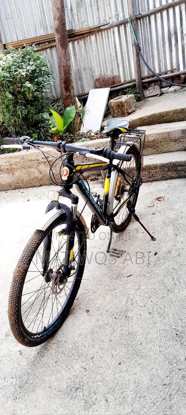 Used Phoenix Mountain Bike for Sale