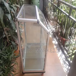 Mobile Display