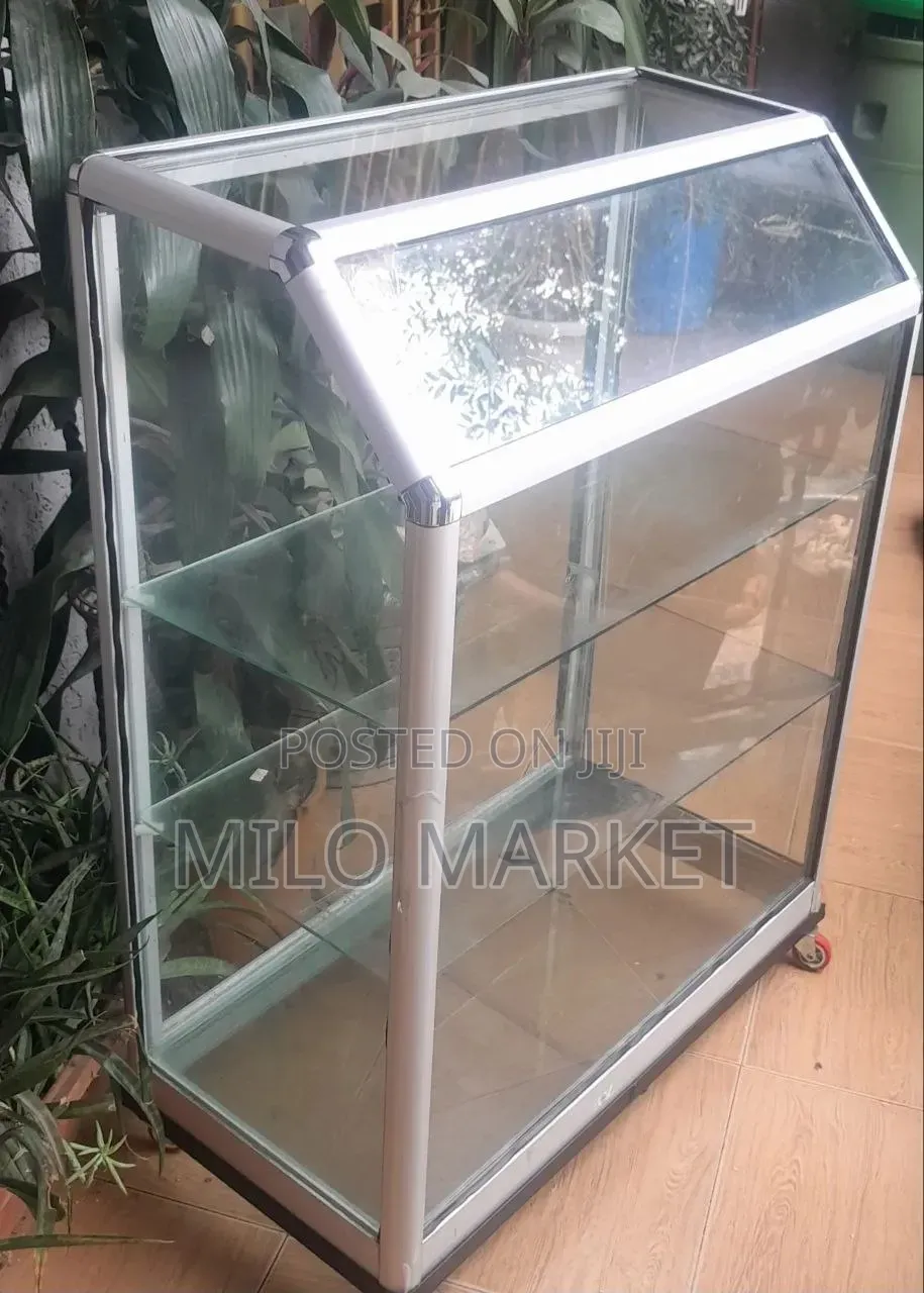 Mobile Display