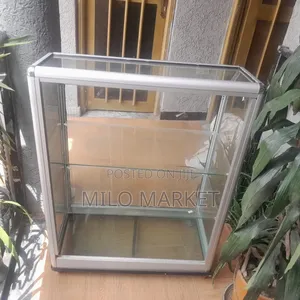 Mobile Display