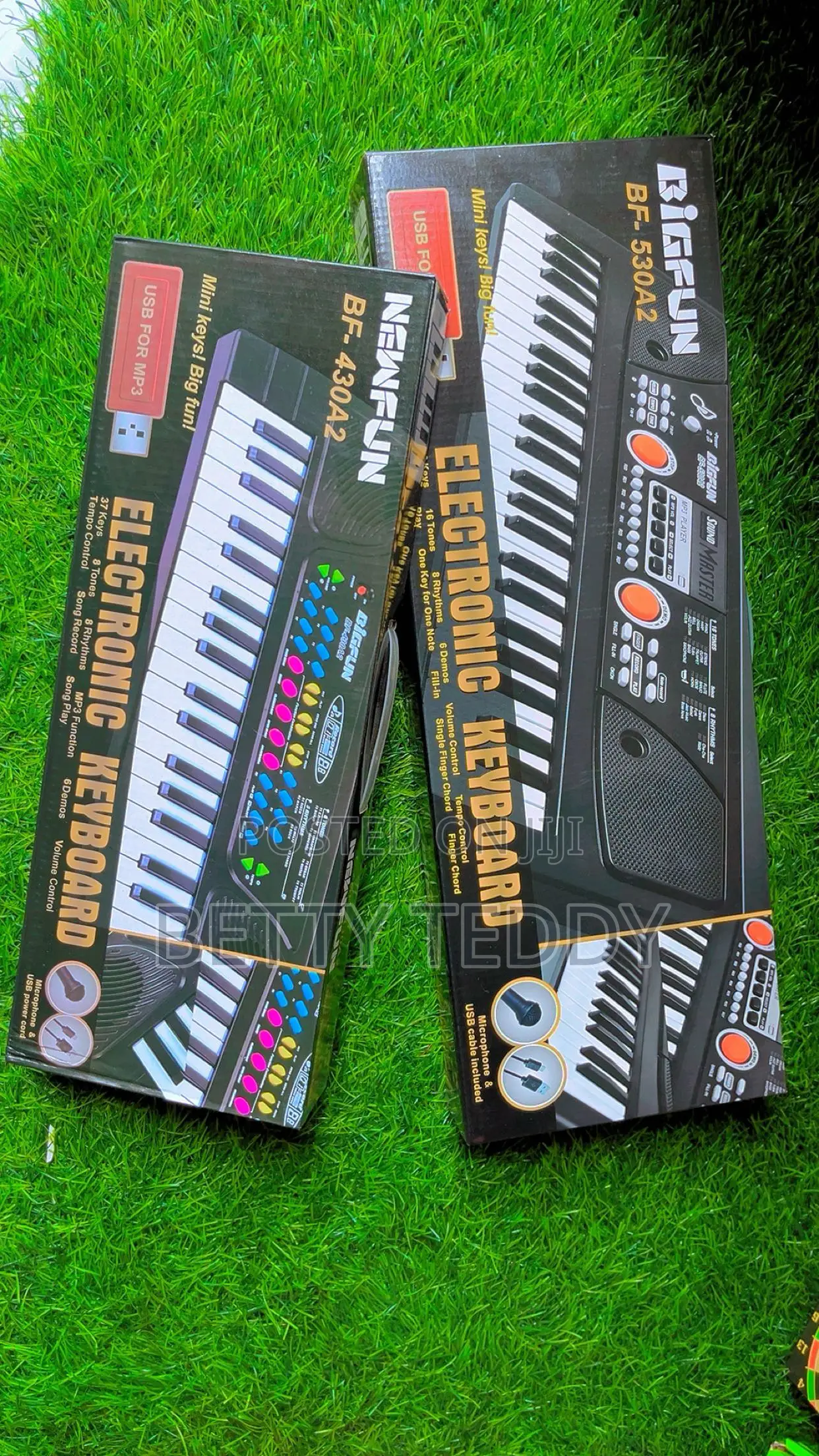 Piano Or Keyboard