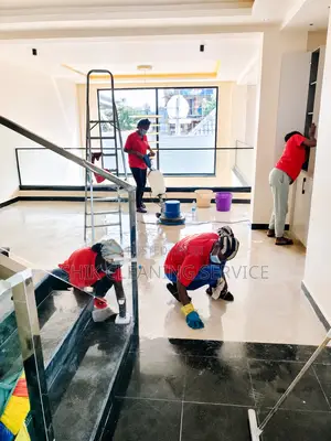 Professional Deep Cleaning
