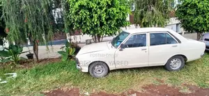 Nissan Sunny 1981 White