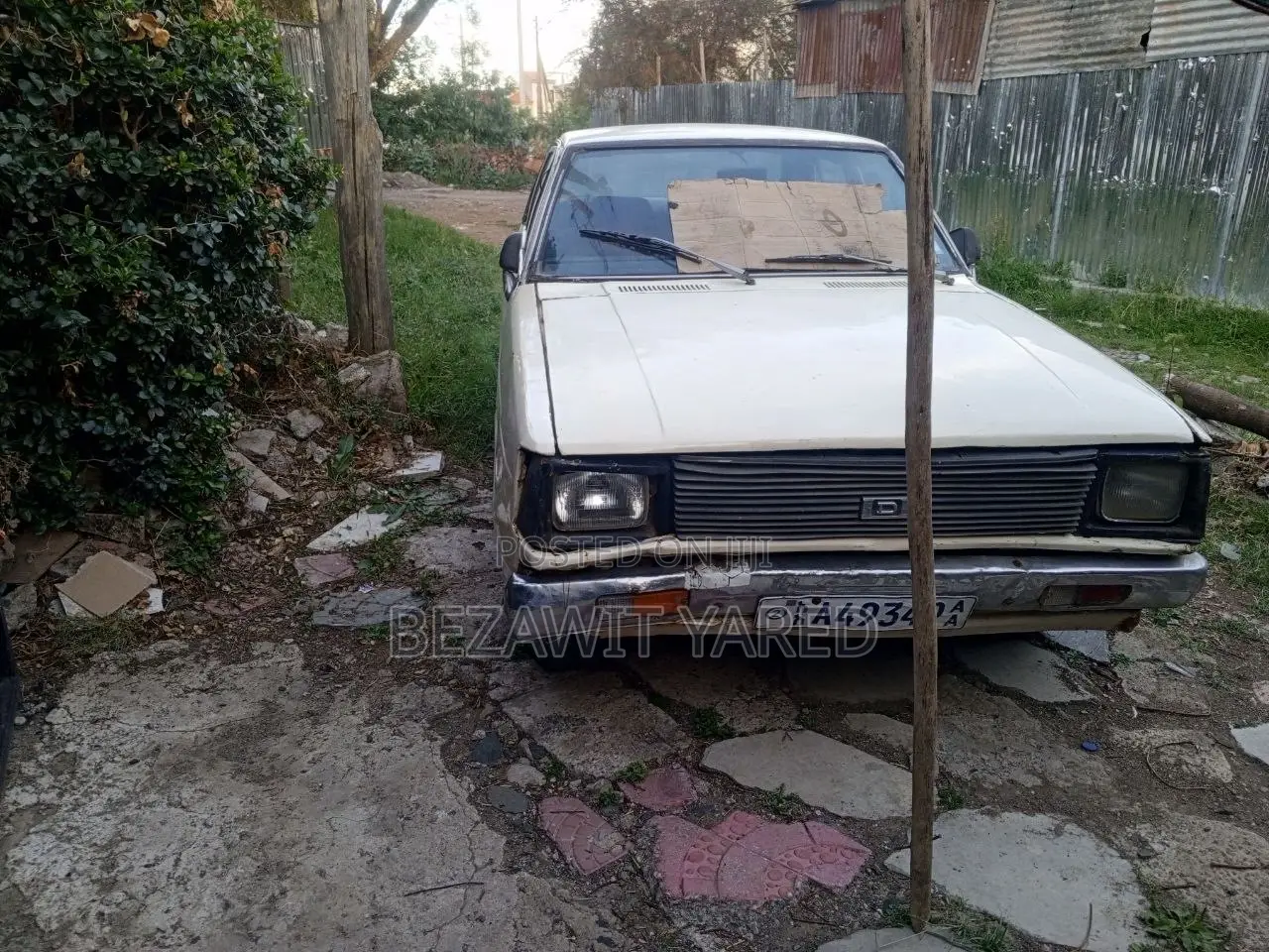 Nissan Sunny 1981 White
