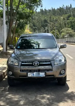 Toyota RAV4 2010