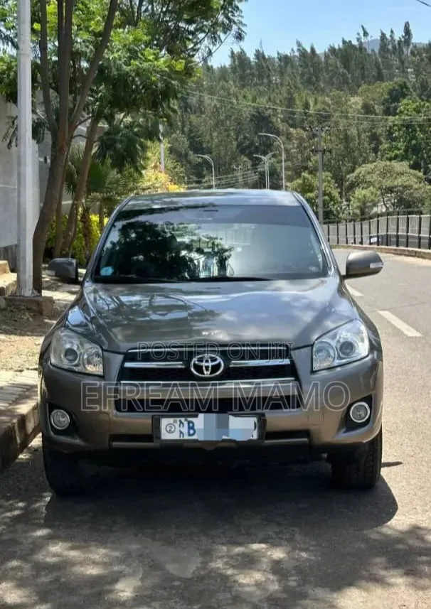 Toyota RAV4 2010