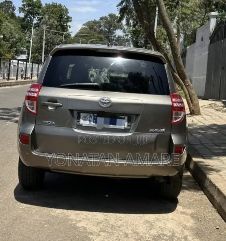 Toyota RAV4 2010 Brown