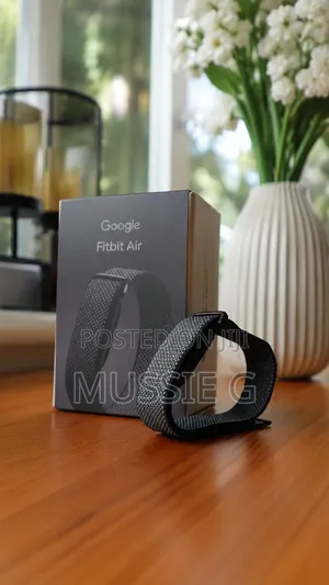 Google Fit Bit Air