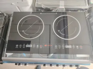 Everest Electric Stove