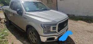 Ford F-150 2019 Gray