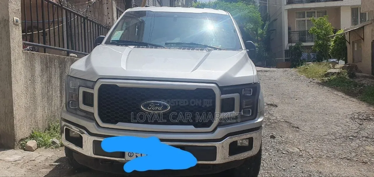 Ford F-150 2019 Gray