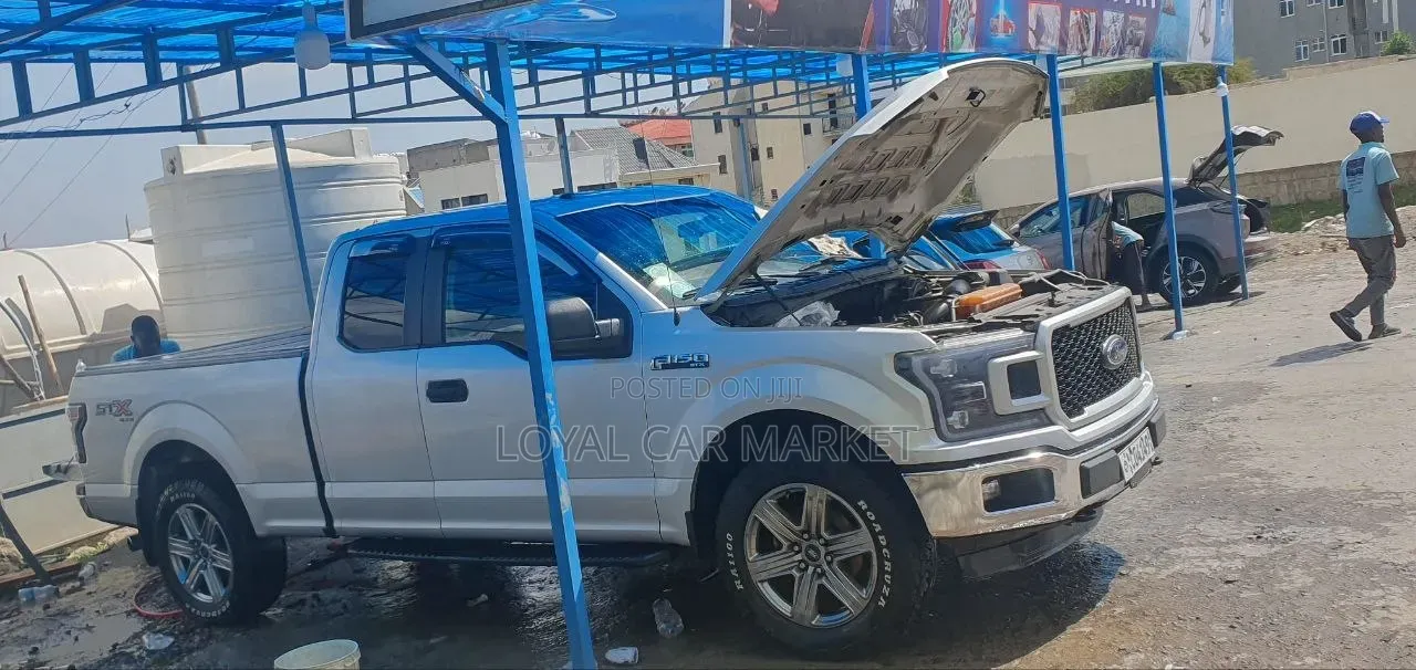 Ford F-150 2019 Gray