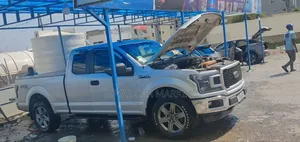 Ford F-150 2019 Gray