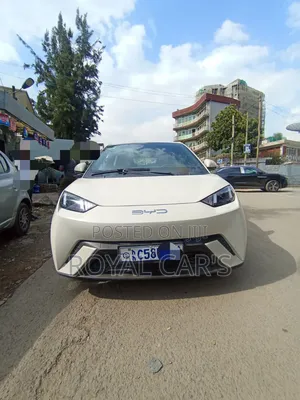 BYD Seagull 2024