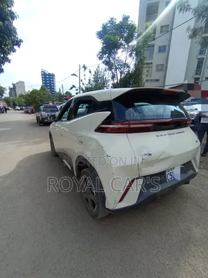 BYD Seagull 2024