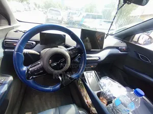 BYD Seagull 2024