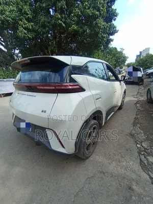 BYD Seagull 2024