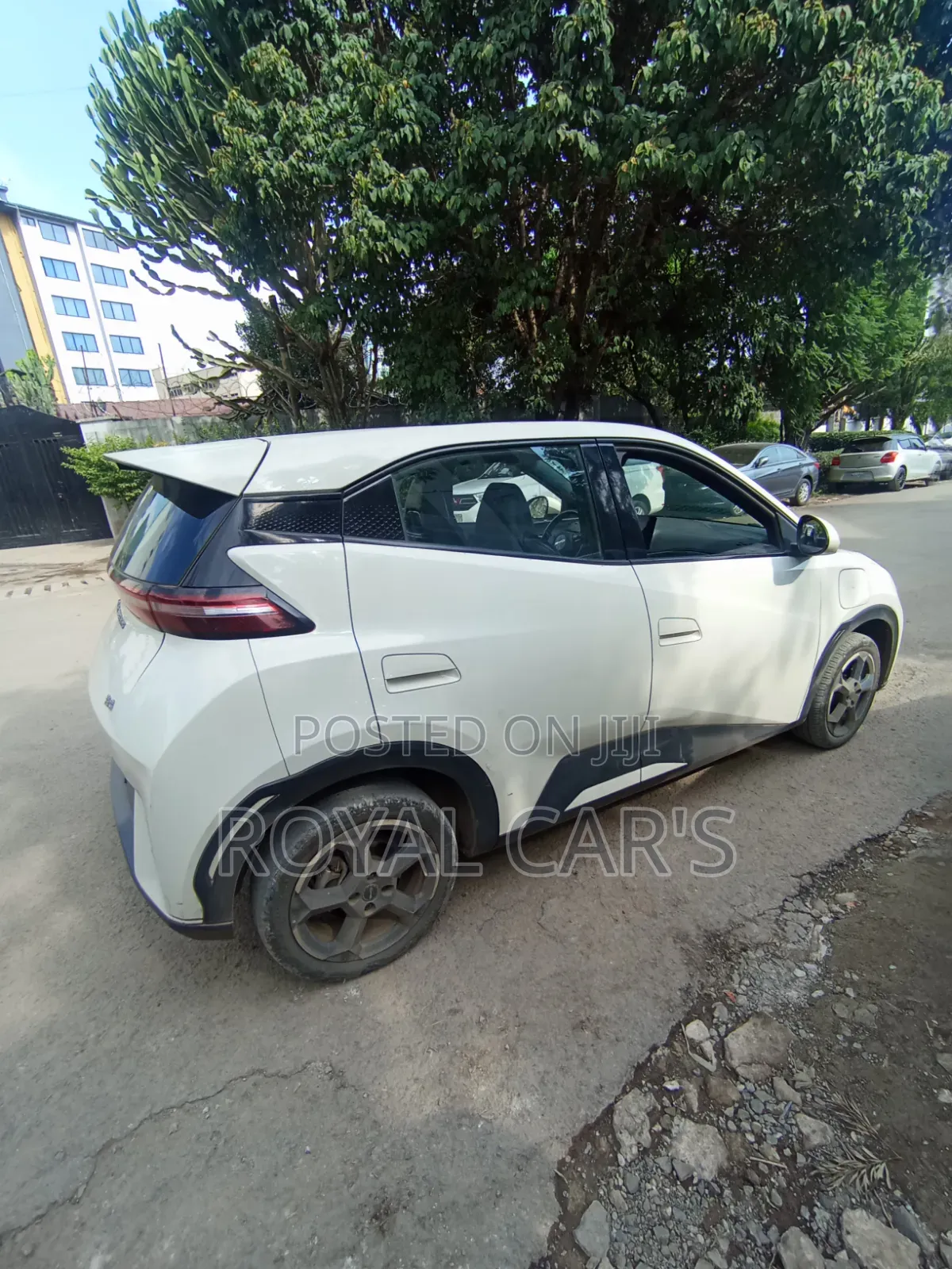 BYD Seagull 2024