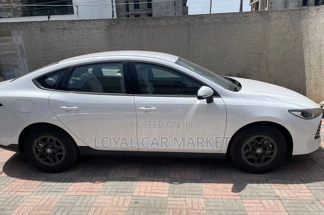 New BYD Qin Plus DM-i 2025 White