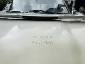 Ye Vitz Kenf