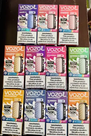 Vozol Puff Vape the New 2026