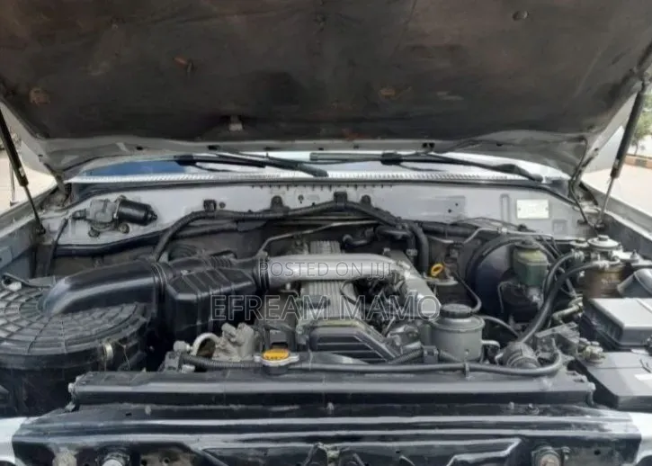 Toyota Land Cruiser 2004