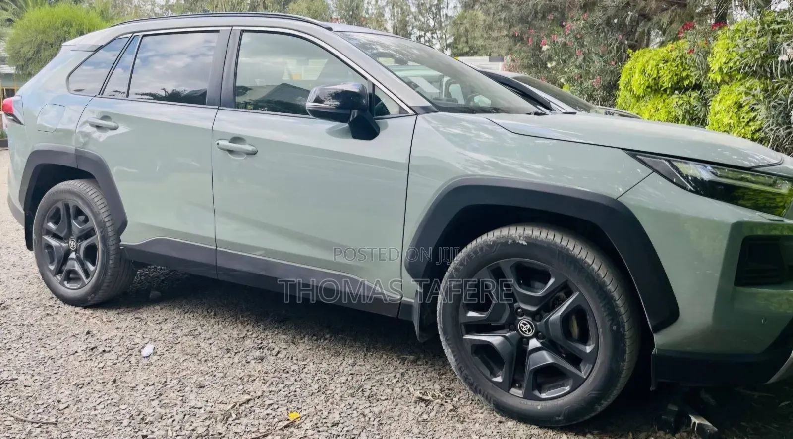 Toyota RAV4 2022 Green