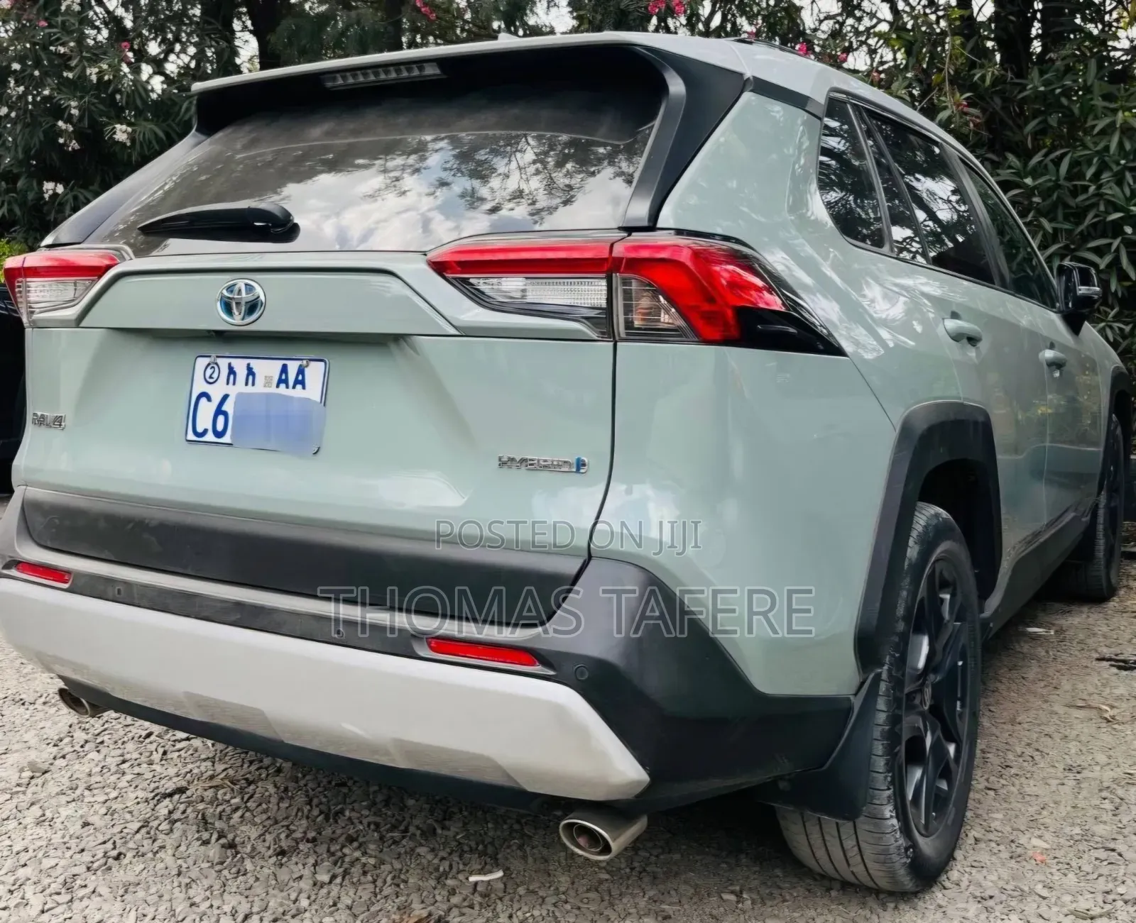 Toyota RAV4 2022 Green
