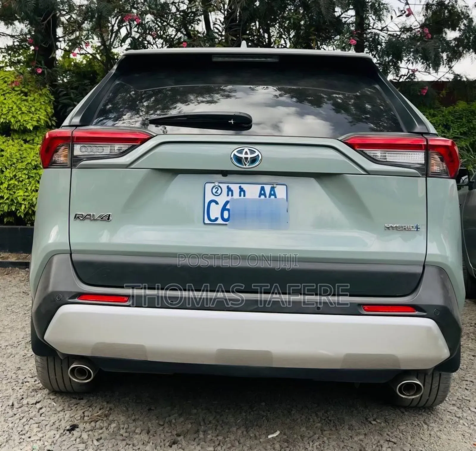 Toyota RAV4 2022 Green