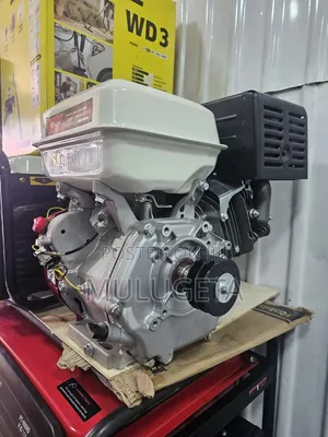 Edon Engine 13hp