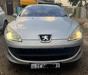 Peugeot 405 2007 Silver
