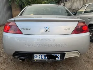 Peugeot 405 2007 Silver