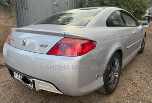 Peugeot 405 2007 Silver