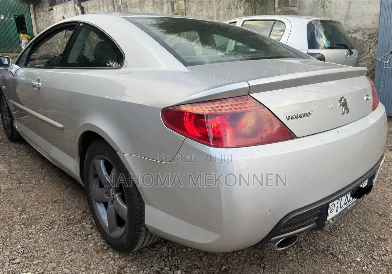 Peugeot 405 2007 Silver