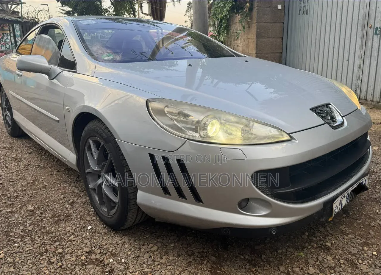 Peugeot 405 2007 Silver