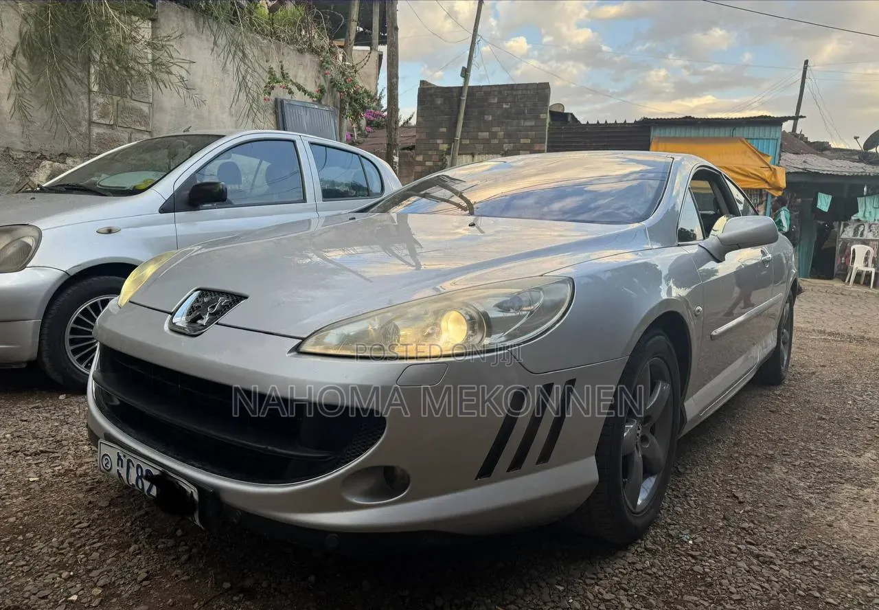 Peugeot 405 2007 Silver