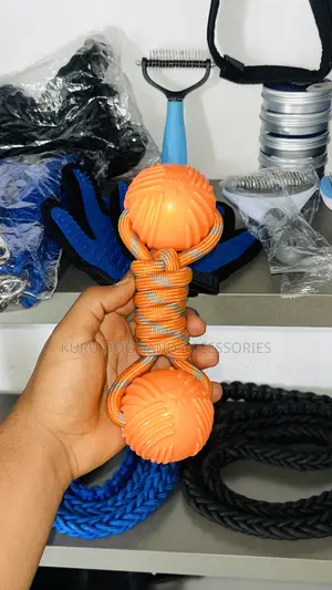 Dogs Toy መጫወቻ
