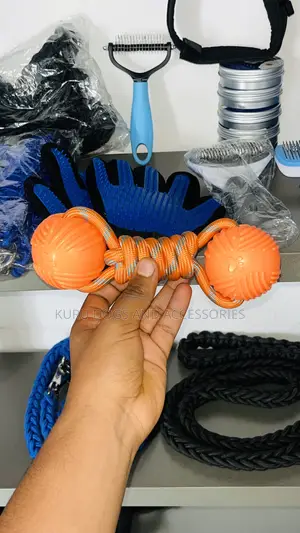 Dogs Toy መጫወቻ