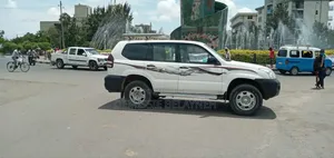 Prado for Rent