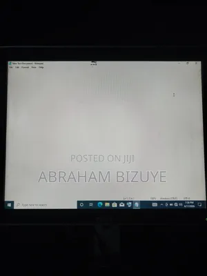 Dell19" Monitor