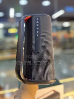 Sanen Sa200a Portable Outdoor/Indoor Wireless Bluetooth Speaker