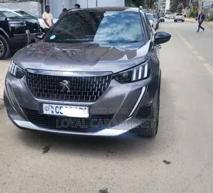 Peugeot 2008 2023 Gray
