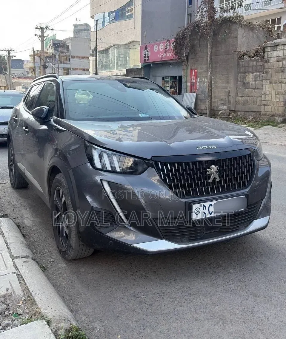 Peugeot 2008 2023 Gray