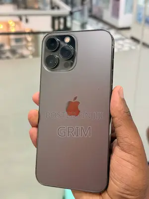Apple iPhone 13 Pro Max 256 GB Black